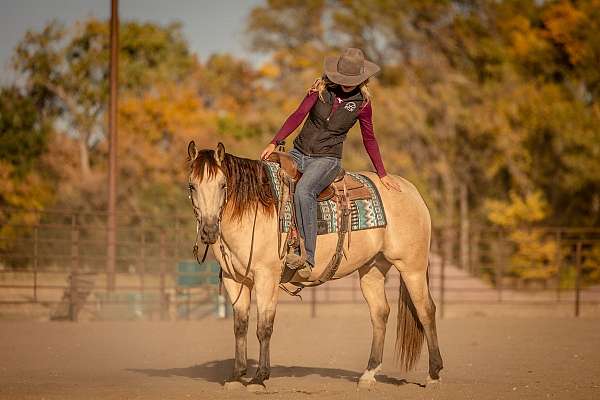 ranch-versatility-quarter-horse