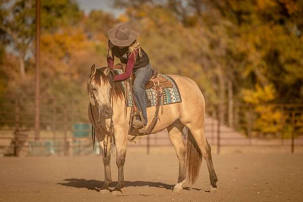 ranch-work-quarter-horse