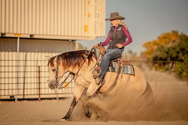 roping-quarter-horse