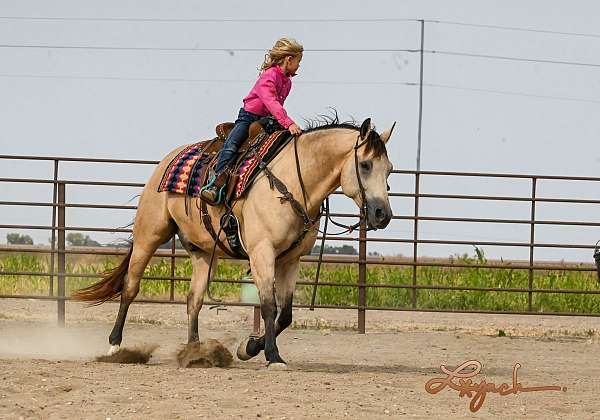 trail-riding-quarter-horse