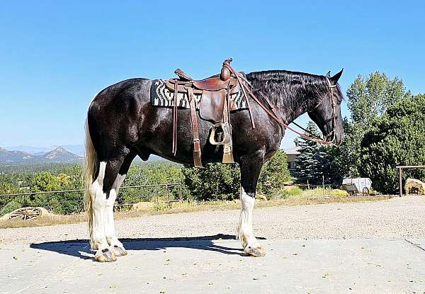 ranch-work-draft-horse