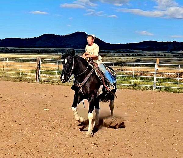 trail-riding-draft-horse