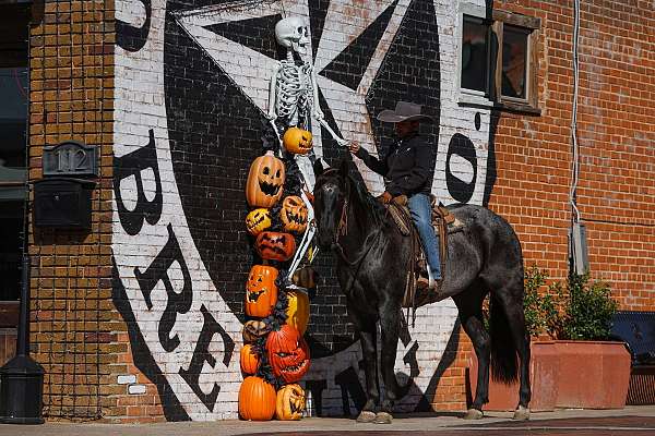 trail-riding-quarter-horse