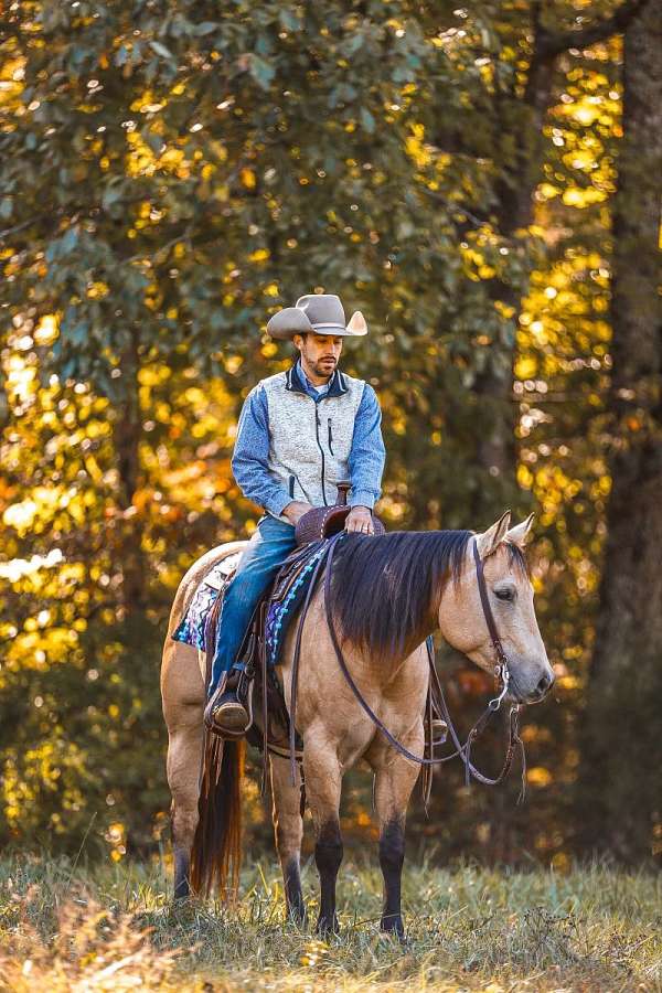 calf-roping-quarter-horse