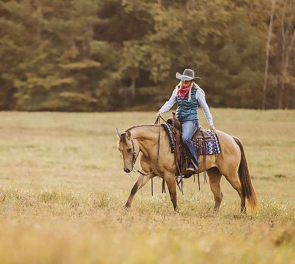 heading-quarter-horse