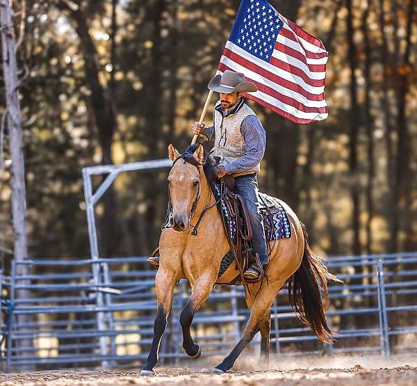 ranch-work-quarter-horse