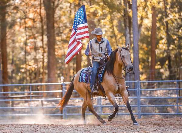 roping-quarter-horse