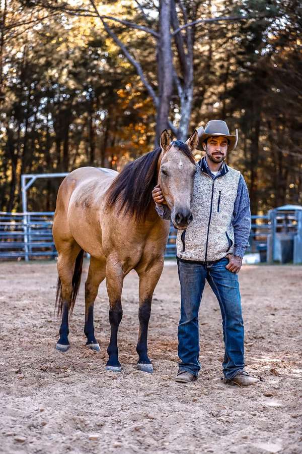 trail-riding-quarter-horse