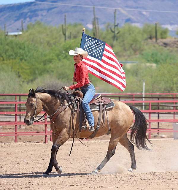 kid-safe-quarter-horse