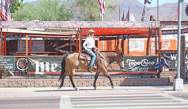 ranch-work-quarter-horse