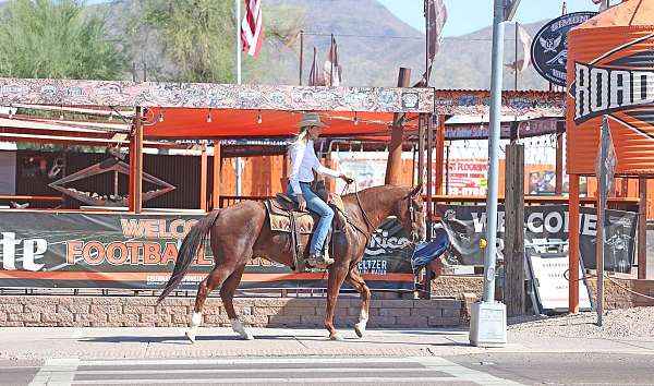 roping-quarter-horse