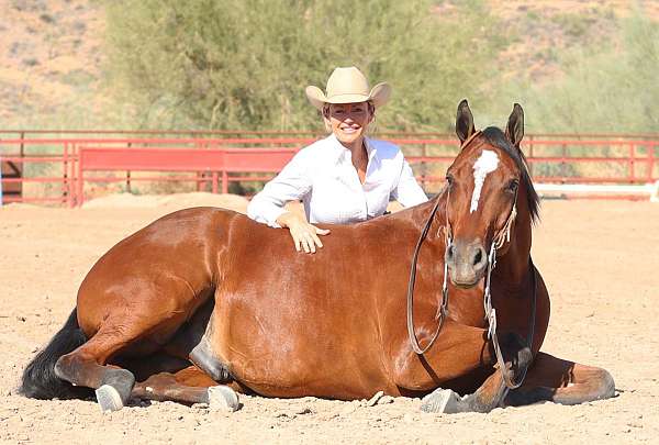 husband-safe-paint-pony