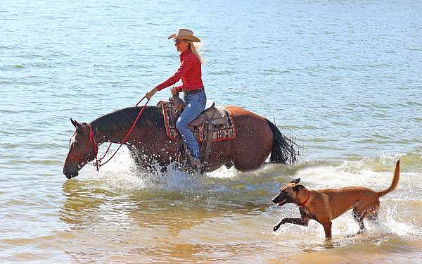 ridden-western-paint-pony