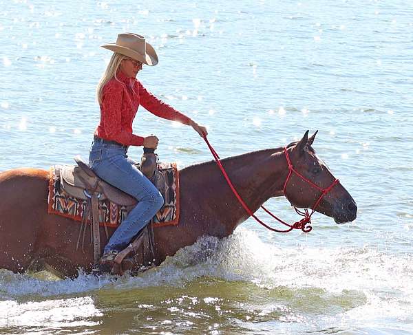 roping-paint-pony