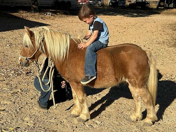 sorrel-beginner-flaxen-mane-pony