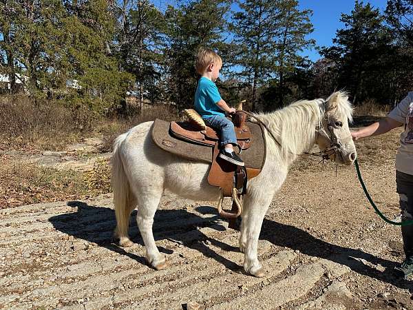 ridden-western-pony