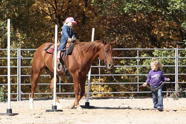 dun-sorrel-ranch-horse