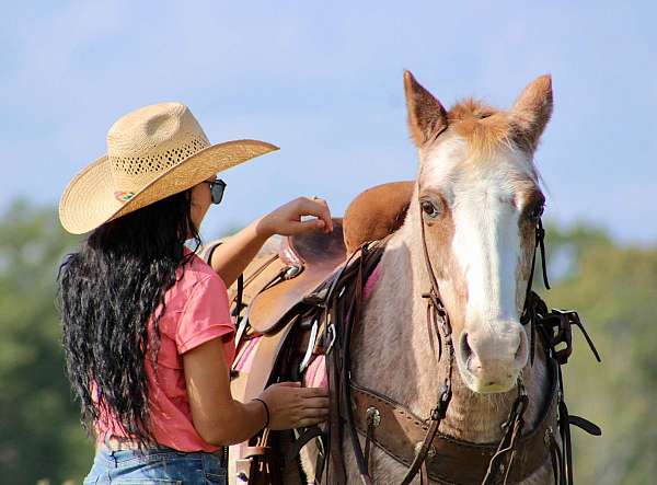 ranch-work-quarter-pony