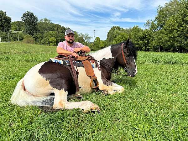 ranch-work-quarter-horse