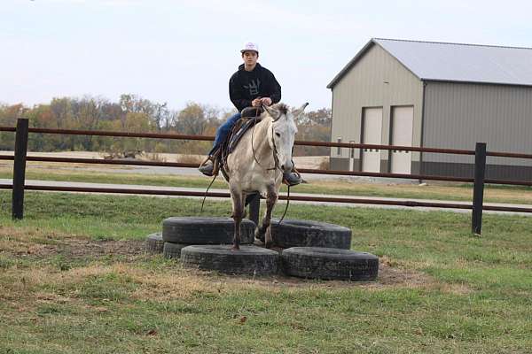 husband-safe-mule