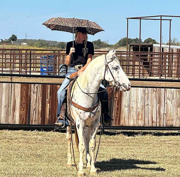 ranch-work-quarter-horse