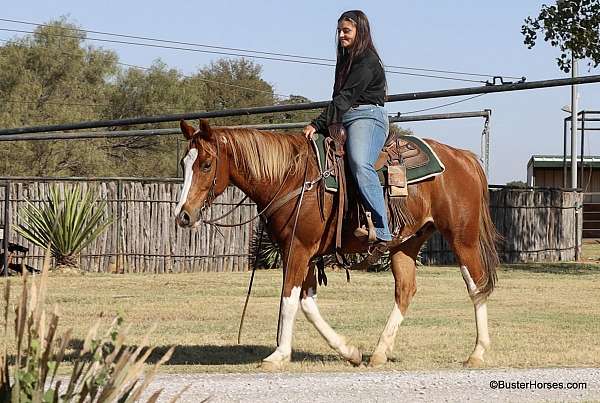 ranch-work-quarter-horse