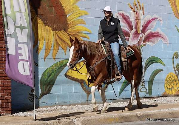 athletic-quarter-horse