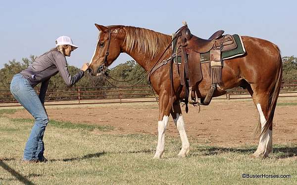 bathes-quarter-horse