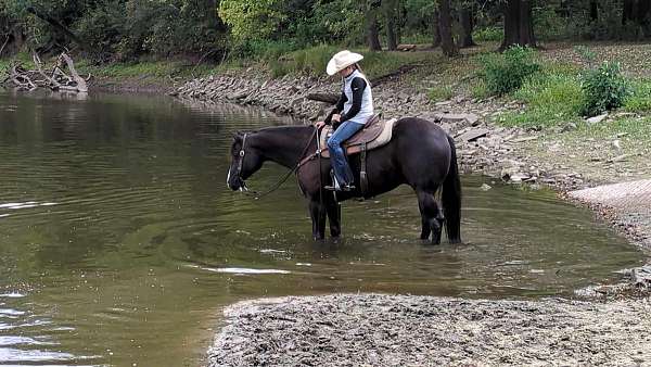 ranch-work-quarter-horse