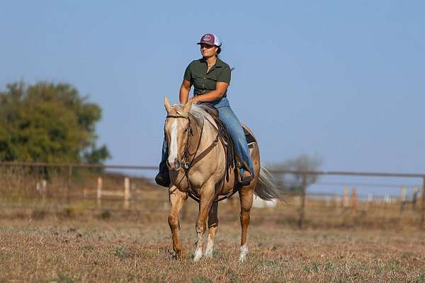 flashy-quarter-horse