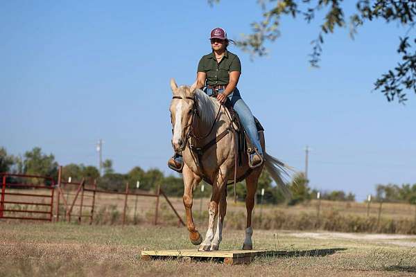 kid-safe-quarter-horse