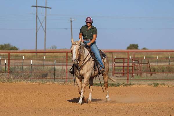 ranch-quarter-horse