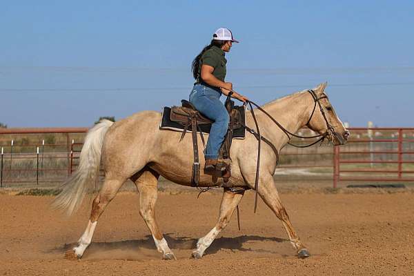 ranch-versatility-quarter-horse