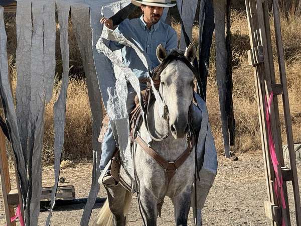 family-horse-quarter