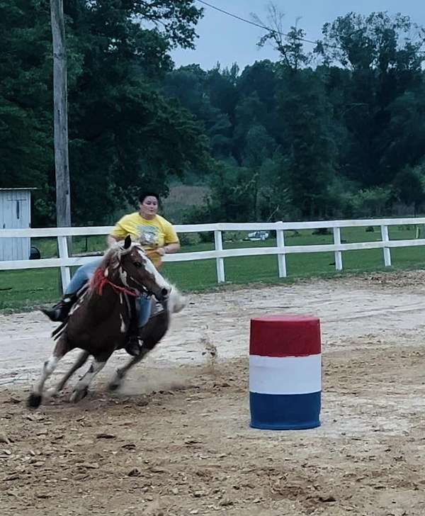 barrel-racing-quarter-horse