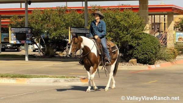 barrel-racing-quarter-horse