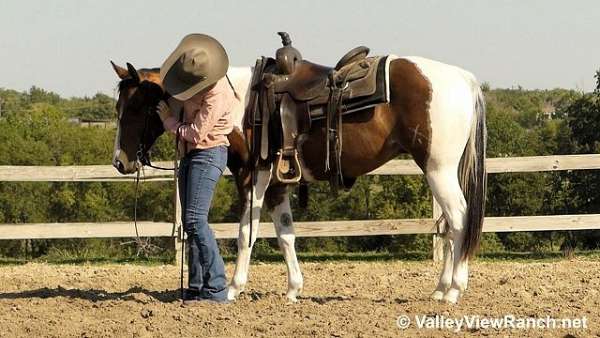 pole-quarter-horse