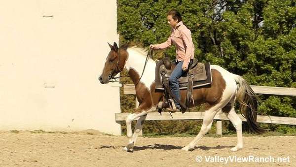 trail-riding-quarter-horse