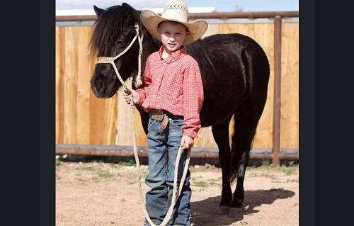 black-beginner-trail-riding-pony