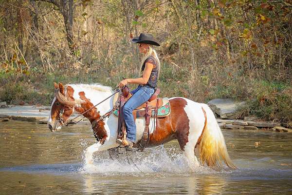 tobiano-workin-horse