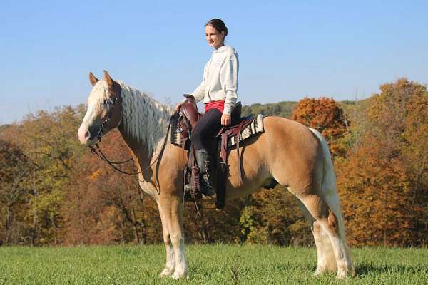 chestnut-white-stripe-mane-tail-horse