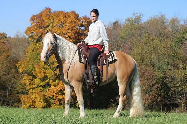 white-stripe-mane-tail-horse