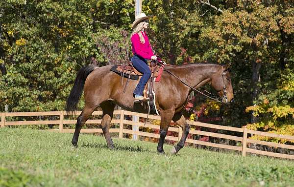 flashy-quarter-horse