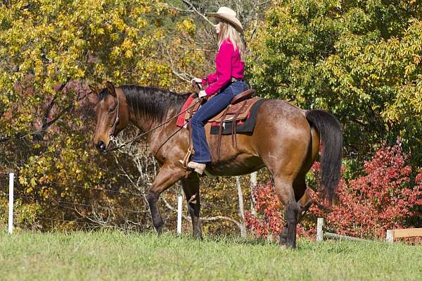 family-quarter-horse