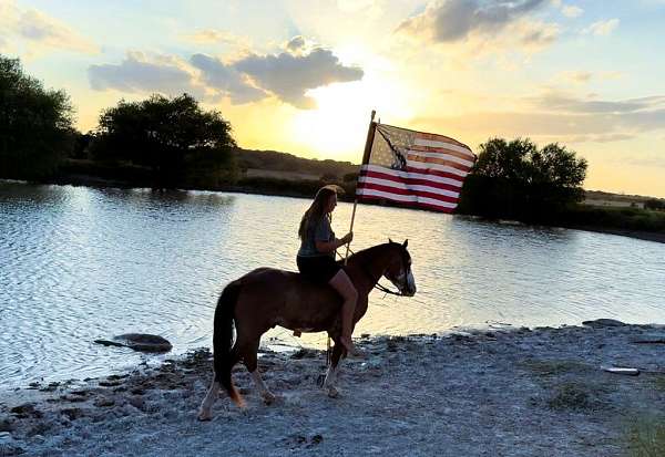 ranch-draft-horse