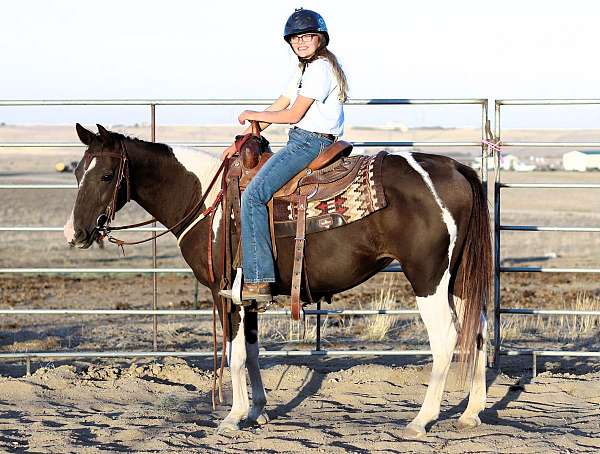 husband-safe-paint-horse