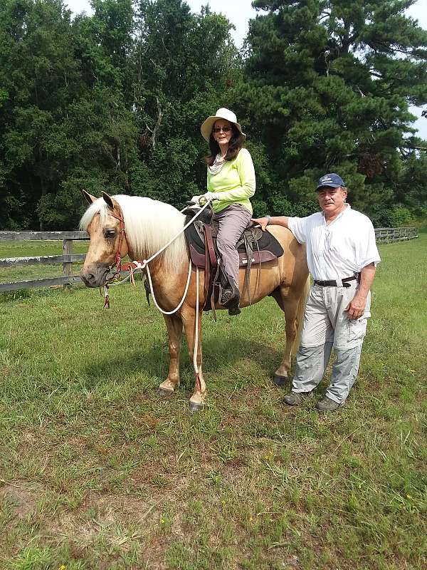 comfortable-ride-quarter-pony