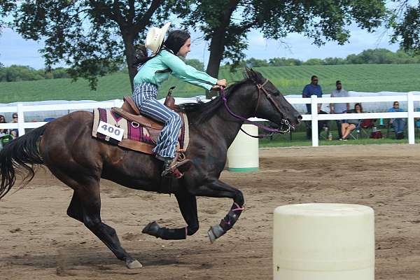 barrel-quarter-horse