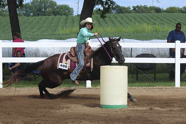 trail-riding-quarter-horse