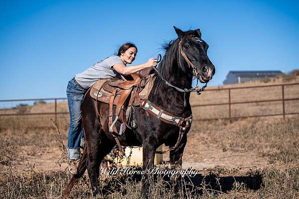 trail-pony